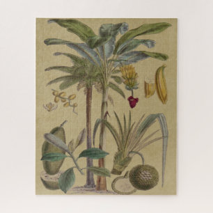 Antique Tropical Palm Fruit Botanical Jigsaw Puzzle