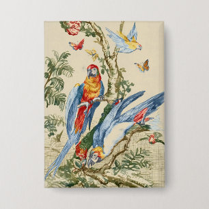 Antique Tropical Parrot and Butterfly Fine Art