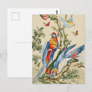 Antique Tropical Parrot and Butterfly Fine Art Postcard