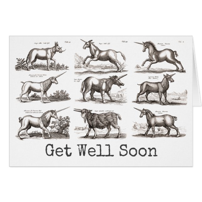 Antique Unicorn Engraving Vintage Zoology Specimen (Front Horizontal)