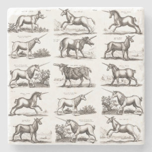 Antique Unicorn Engraving Vintage Zoology Specimen Stone Coaster