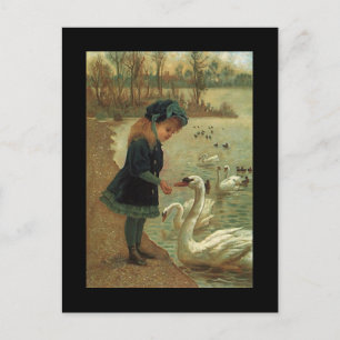 Antique Victorian Birding Trumpeter Swans Bird PCs Postcard