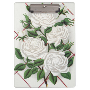 Antique Victorian White Climbing Rose Garden Clipboard
