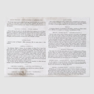 Antique Vintage French Book Pages Decoupage Tissue Paper