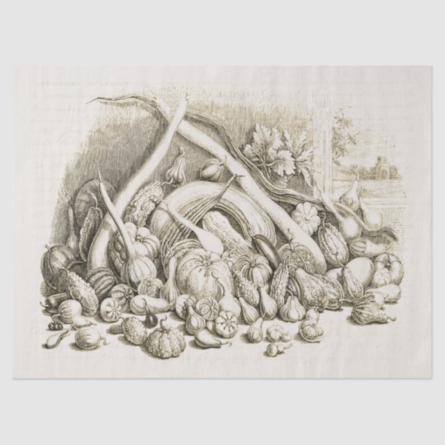 Antique Vintage Pumpkin Squash Beige Tissue Paper (Front)