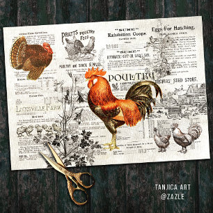 Antique Vintage Rooster Horticulture Ads Ephemera Tissue Paper