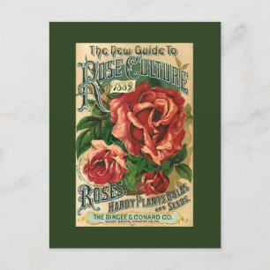 Antique Vintage Rose Gardening Garden catalogue PC Holiday Postcard