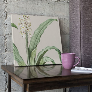 Antique Watercolor Botanical Print 