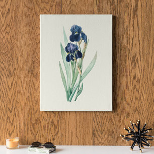 Antique Watercolor Botanical Print
