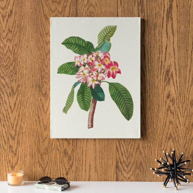 Antique Watercolor Botanical Print  (Antique Watercolor Botanical Print)