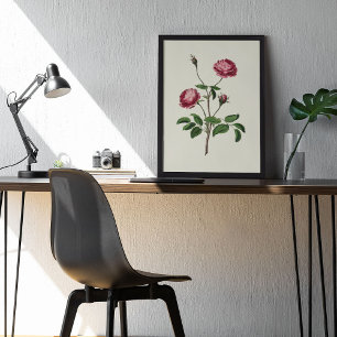 Antique Watercolor Botanical Print
