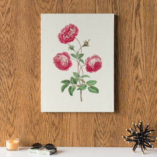 Antique Watercolor Botanical Print