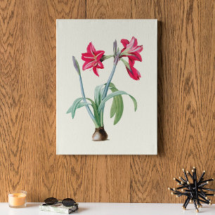 Antique Watercolor Botanical Print