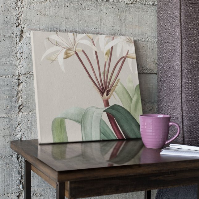 Antique Watercolor Botanical Print  (Watercolor Antique Botanical Print Poster)