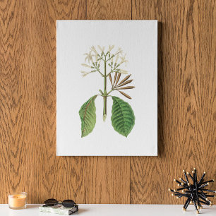 Antique Watercolor Botanical Print
