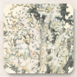 Antique Watercolor Coral Coaster