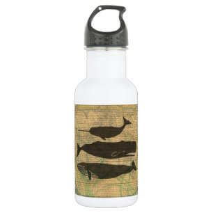  Antique Whale Nautical: Vintage Sea Life  532 Ml Water Bottle