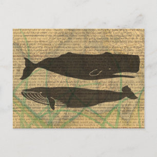 Antique Whale Nautical: Vintage Sea Life Postcard