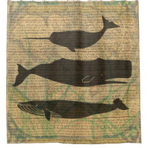  Antique Whale Nautical: Vintage Sea Life  Shower Curtain