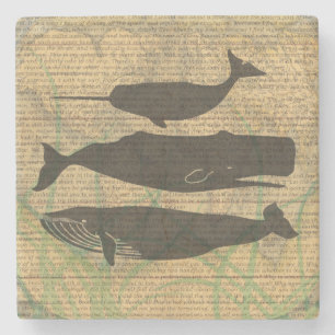  Antique Whale Nautical: Vintage Sea Life  Stone Coaster