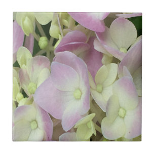 Antique White and Dusty Pink Hydrangea Petals Ceramic Tile