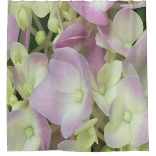 Antique White and Dusty Pink Hydrangea Petals Shower Curtain