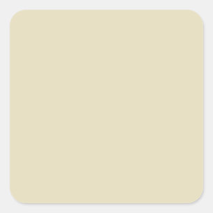 Antique White, Chic Neutral Solid Colour Backgroun Square Sticker