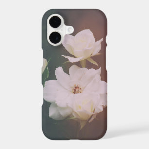 Antique White Rose