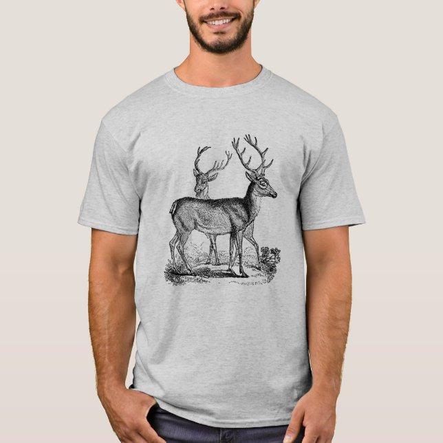 Antique Wild Stag Deer  T-Shirt (Front)