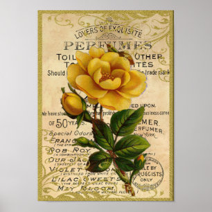 Antique Yellow Roses Perfume Poster