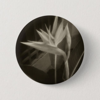 Antiqued Bird of Paradise 10 6 Cm Round Badge