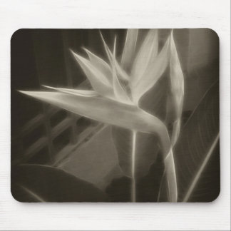 Antiqued Bird of Paradise 10 Mouse Pad
