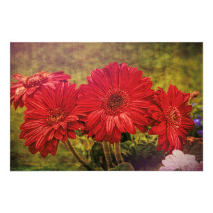 Antiqued Garden Photo Print