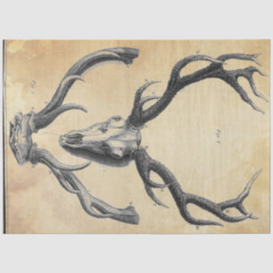 Antler Decoupage Paper