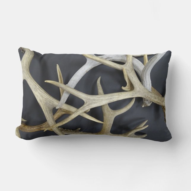 Antler Throw Pillow (Front)