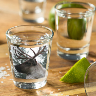 Antlered Caribou Photo Shot Glass