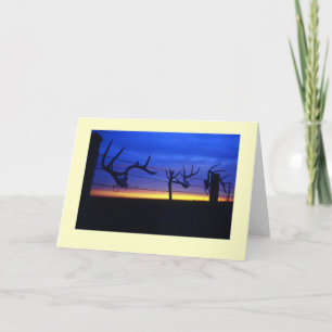 "Antlers #2" Card