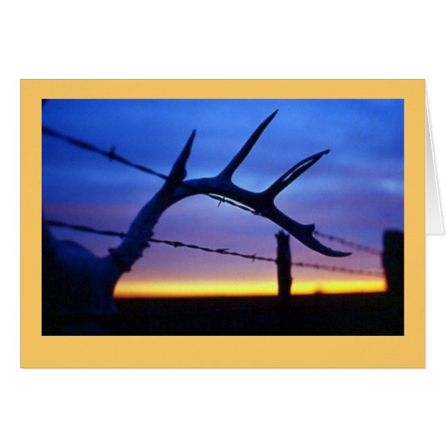 "Antlers #3" (Front Horizontal)