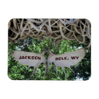 Antlers Arch Jackson Hole, Wyoming Travel