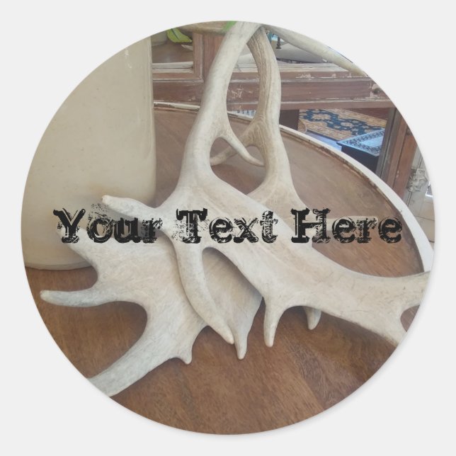 Antlers on Display Classic Round Sticker (Front)