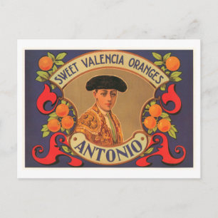 Antonio Brand Sweet Valencia Oranges Vintage Crate Postcard