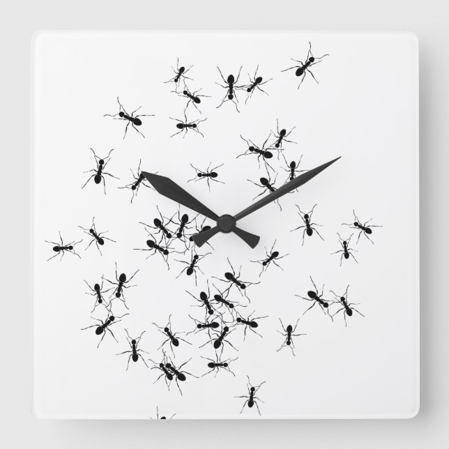 Ants all over square wall clock (Front)