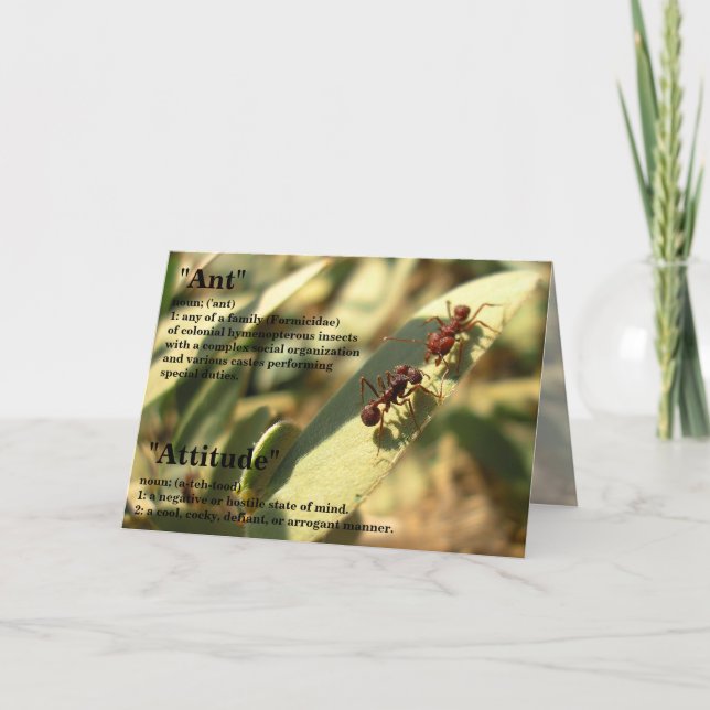 Ants & Attitude - Greeting Card #2 (Front)