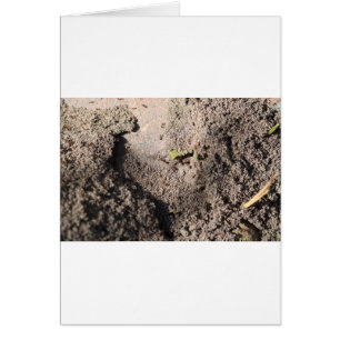 Ants Go Marching