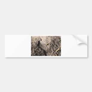 Ants Go Marching Bumper Sticker