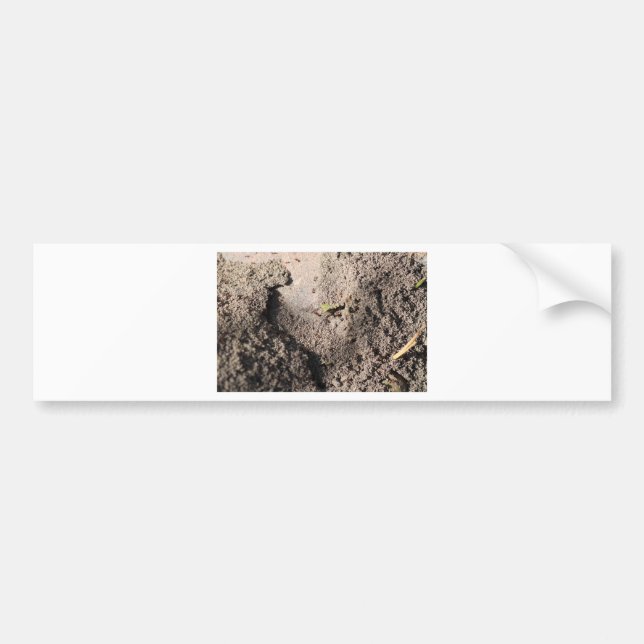 Ants Go Marching Bumper Sticker (Front)