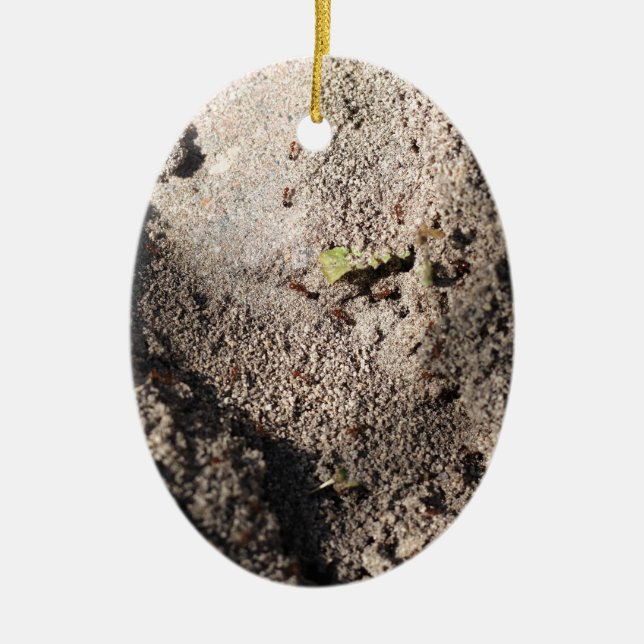 Ants Go Marching Ceramic Tree Decoration (Front)