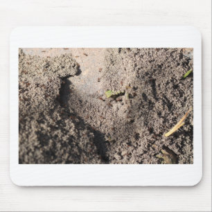 Ants Go Marching Mouse Pad