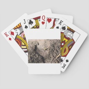 Ants Go Marching Playing Cards