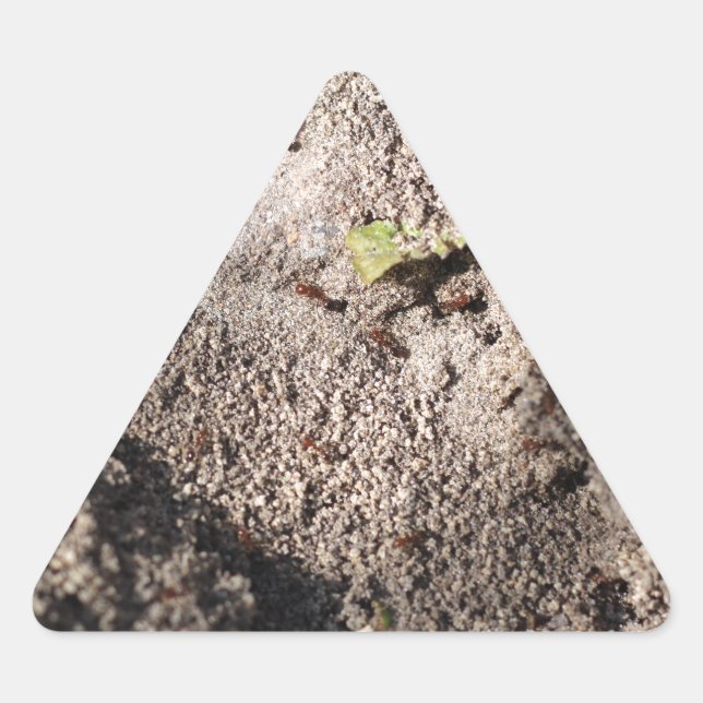 Ants Go Marching Triangle Sticker (Front)